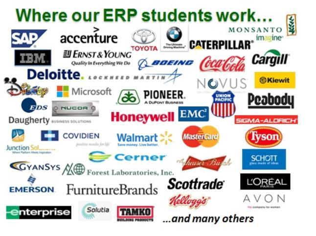 ERP Placement Companies