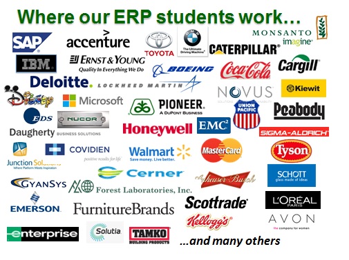 ERP Placement Companies